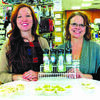 Laura Johnson, left and Doris Johnson, right, demos Sneaky Greens at a local Springfield store.