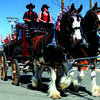 Weather permitting, Chuck Lewter and his Clydesdales will appear in the Greenfield Christmas parade.